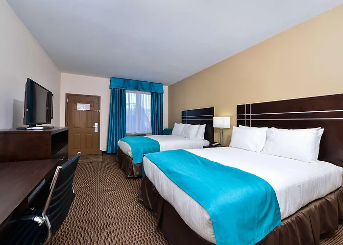 Regina Experimental Biarriz