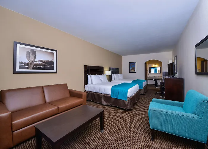 Regina Experimental Biarriz