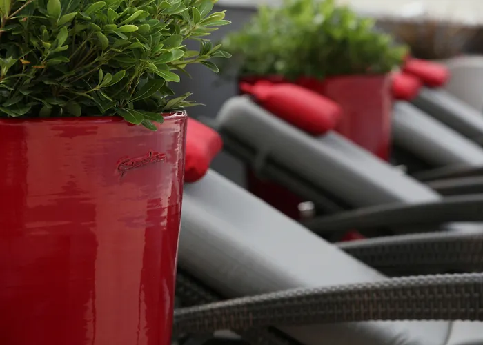 Regina Experimental 5* Biarriz